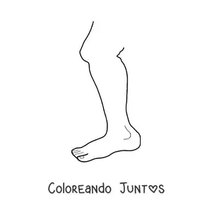 Imagen para colorear de una pierna