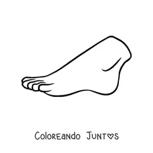 Imagen para colorear de un pie humano