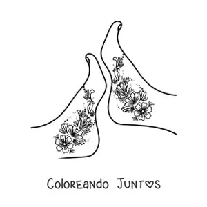 Pies bonitos