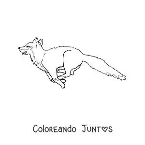 Imagen para colorear de un zorro salvaje saltando con la boca abierta
