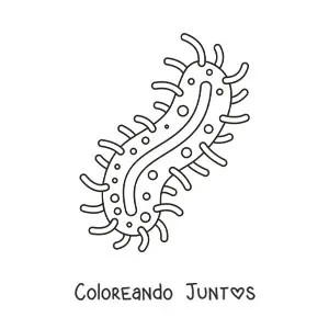 Imagen para colorear de una bacteria