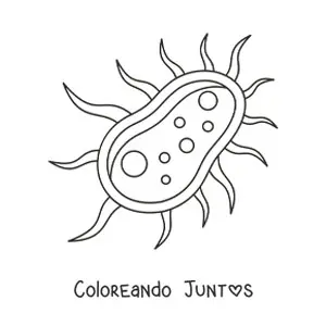 Imagen para colorear de una célula bacteriana