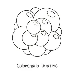 Imagen para colorear de una célula madre