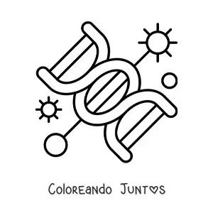 Imagen para colorear del ADN