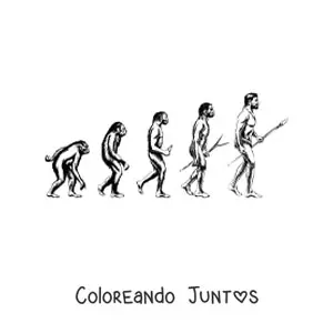 Imagen para colorear de la evolución humana
