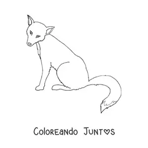 Imagen para colorear de un zorro salvaje sentado de perfil con la cabeza girada hacia el frente