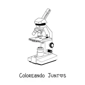 Imagen para colorear de las partes de un microscopio compuesto moderno
