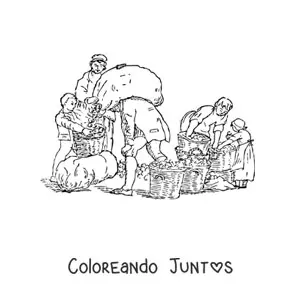 Imagen para colorear de campesinos cosechando manzanas con canastos y sacos