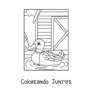 Imagen para colorear de un pato en la granja