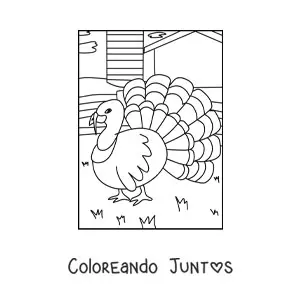 Imagen para colorear de un pavo real en la granja
