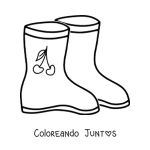 Botas para la lluvia