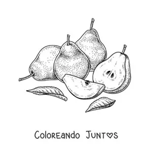Imagen para colorear de cuatro peras rebanadas