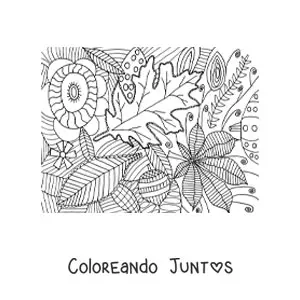 Imagen para colorear de varias hojas de otoño