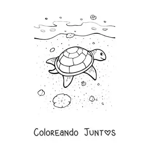 Tortuga en la playa
