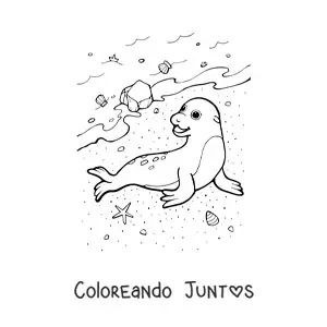 Imagen para colorear de una foca en orilla de playa