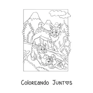 Linces en el bosque
