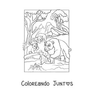 Imagen para colorear de una familia de osos en el bosque