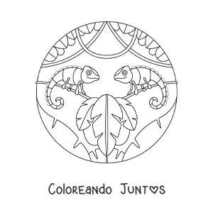 Imagen para colorear de dos camaleones salvaje