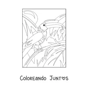 Imagen para colorear de un tucán en la selva