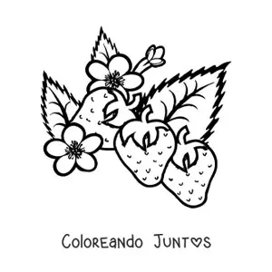 Imagen para colorear de tres fresas y sus flores