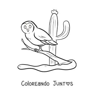 Lechuza del desierto