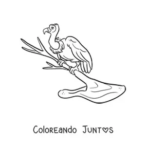 Imagen para colorear de un buitre del desierto