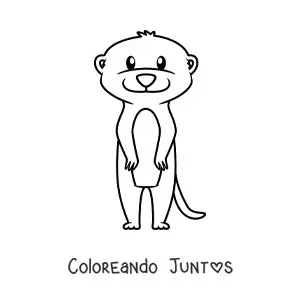 Imagen para colorear de una suricata del desierto animada