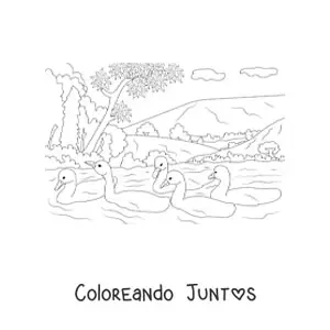 Imagen para colorear de un lago con cisnes