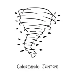 Huracán con hojas