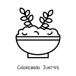 Plato de avena