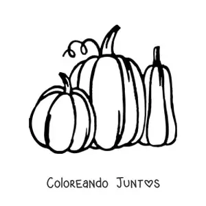 Imagen para colorear de tres calabazas