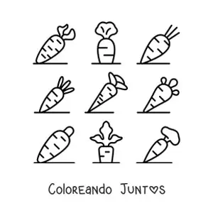 Imagen para colorear de los tipos de zanahorias