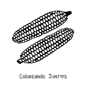 Imagen para colorear de dos mazorcas de maíz