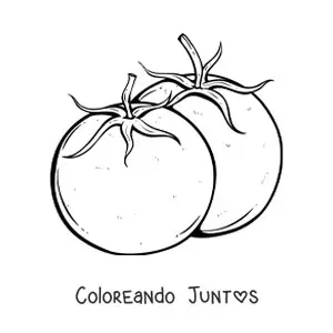 Imagen para colorear de dos tomates con hojas