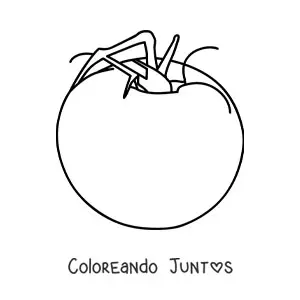 Imagen para colorear de un tomate grande con hojas