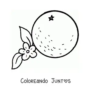 Imagen para colorear de una naranja junto a su flor