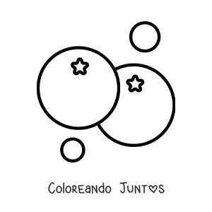 Imagen para colorear de dos tomates sencillos