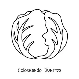Imagen para colorear de una lechuga arrepollada