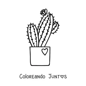 Cactus con flor en maceta con corazón