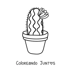 Cactus tierno con flor en maceta