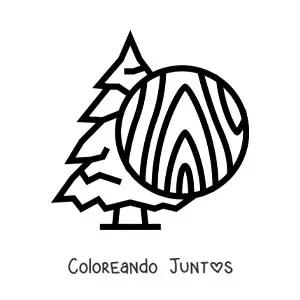 Imagen para colorear de una madera de pino