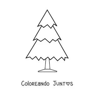Imagen para colorear de un pino grande