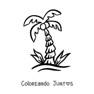 Imagen para colorear de una palmera con cocos