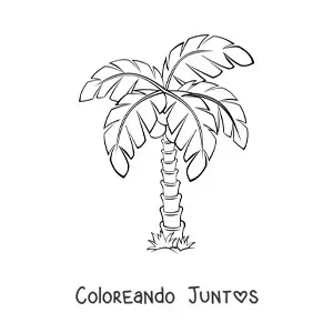 Imagen para colorear de una palmera sencilla