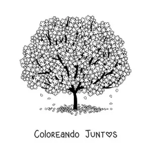 Imagen para colorear de un árbol de cerezo en flor