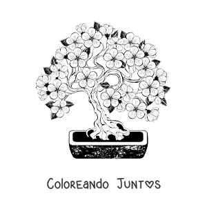 Imagen para colorear de un bonsái de cerezo