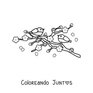 Imagen para colorear de dos aves posadas en un árbol de cerezo