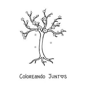 Imagen para colorear de un cerezo