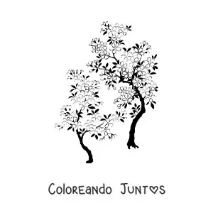 Imagen para colorear de dos cerezos