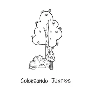 Árbol y arbusto